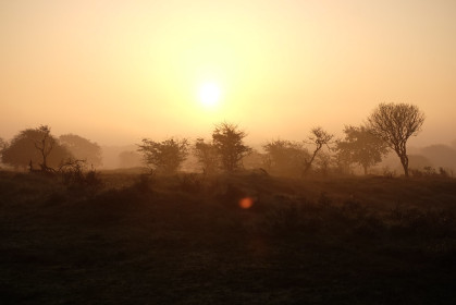 Duinwandeling